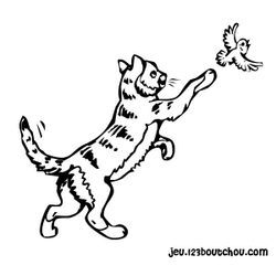 Gatito #5376