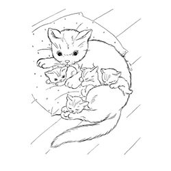 Gatito #5381