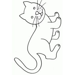 Gatito #5386