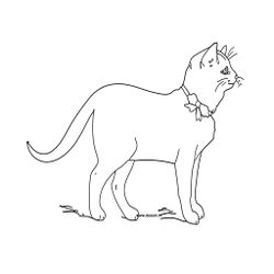 Gatito #5393