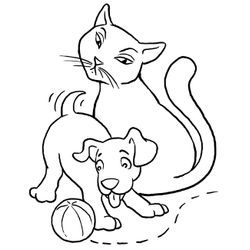 Gatito #5396
