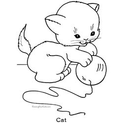Gatito #5416