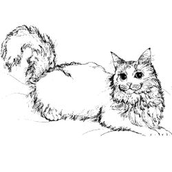 Gatito #5419