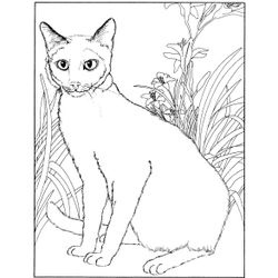Gatito #5421