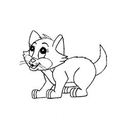 Gatito #5426