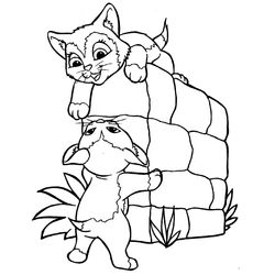 Gatito #5432