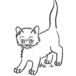 Gatito #5441