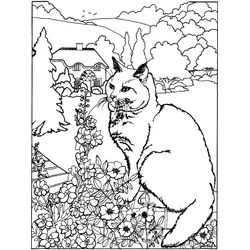 Gatito #5457