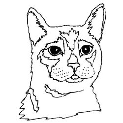 Gatito #5463