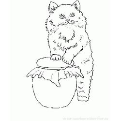 Gatito #5470