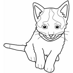 Gatito #5472