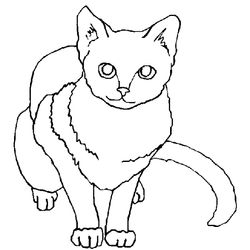 Gatito #5476