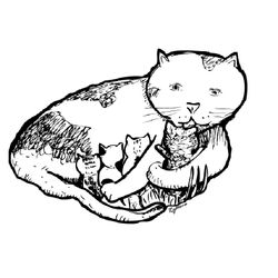 Gatito #5479