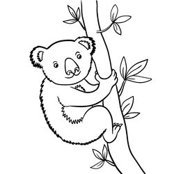 Koala #5489