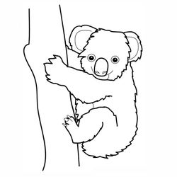 Koala #5490