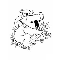 Koala #5492