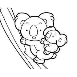 Koala #5494