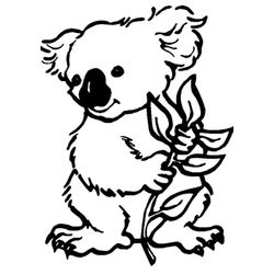 Koala #5498