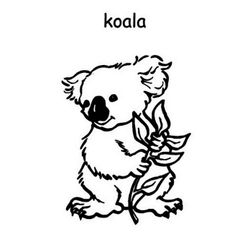 Koala #5499