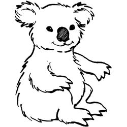 Koala #5505