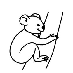 Koala #5506