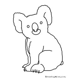 Koala #5507