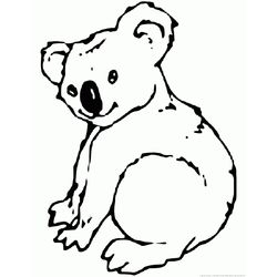Koala #5516