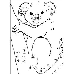 Koala #5517