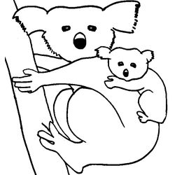 Koala #5518