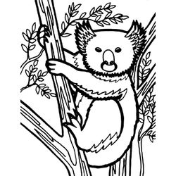 Koala #5522
