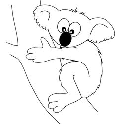 Koala #5525