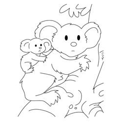 Koala #5527