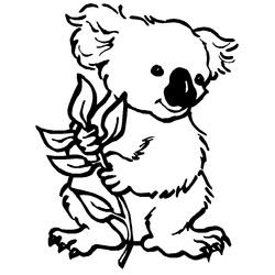 Koala #5529