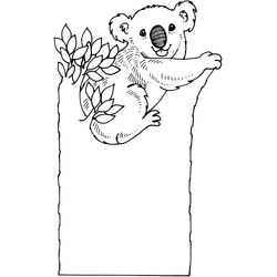 Koala #5530