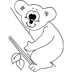 Koala #5531