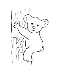 Koala #5532