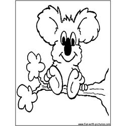 Koala #5537