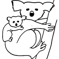 Koala #5539