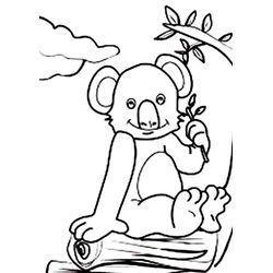 Koala #5540