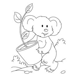 Koala #5543