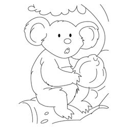 Koala #5549
