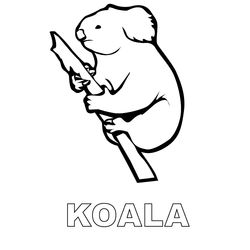 Koala #5552