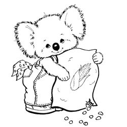 Koala #5554