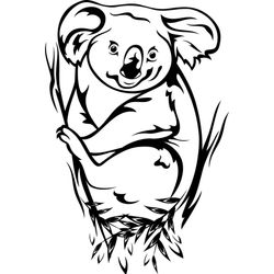 Koala #5555