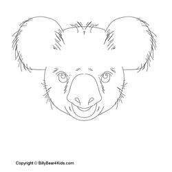Koala #5557