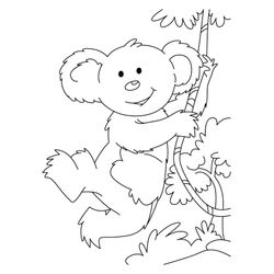 Koala #5558