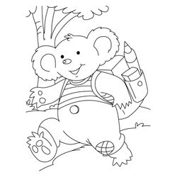 Koala #5570
