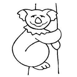 Koala #5575
