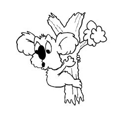 Koala #5580