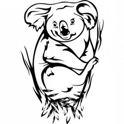 Koala #5588